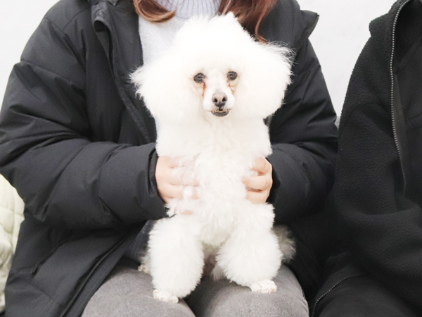 モデル犬の新しい家族が決まりました！PART②